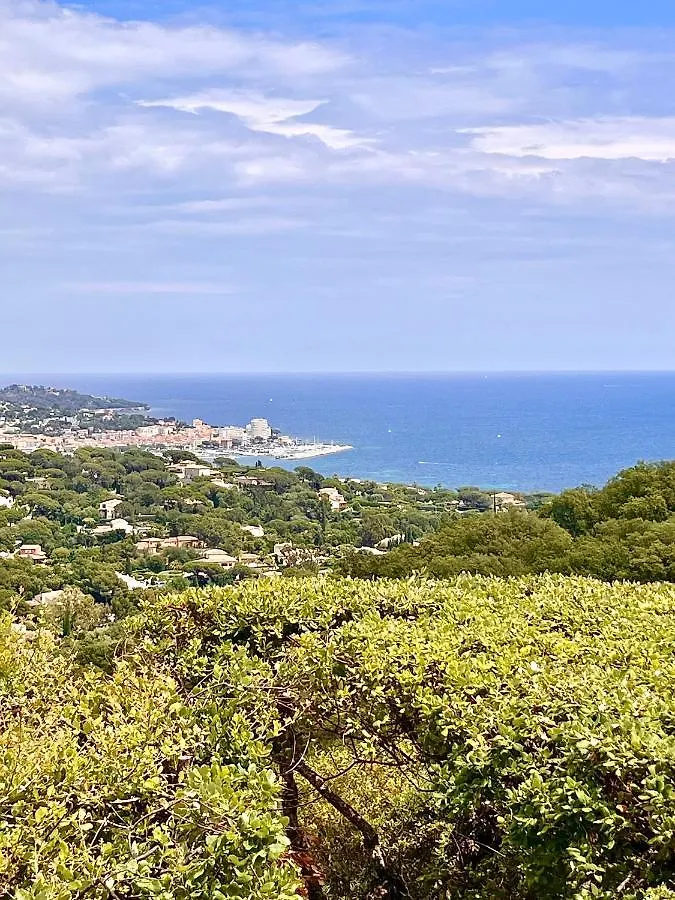 Les Collines Villa Sainte-Maxime 0*,  Fransa
